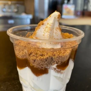 ChocNut Sundae